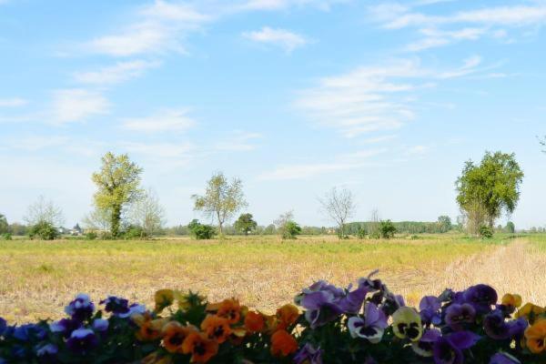Carrobbio Bed&Breakfast Pensionat Cremona Eksteriør billede